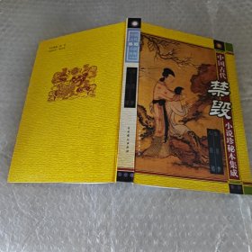 中国古代禁毁小说珍秘本集成 金屋梦八段锦