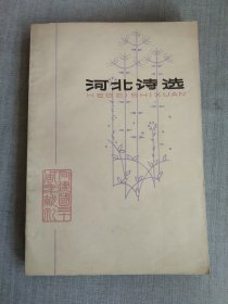 河北诗选