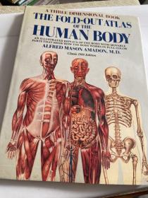 The Fold-Out Book of the Human Body（精装）