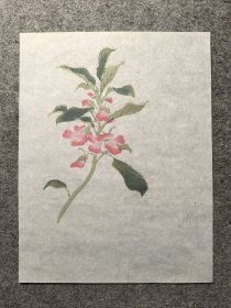 朵云诗笺朵云轩笺：木版水印花卉笺1张