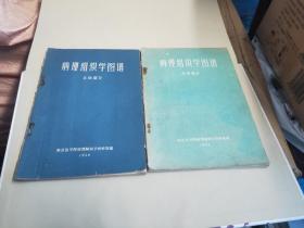 病理组织学图谱(总论部分1958

病理组织学图谱(各论部分1958