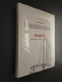 国家电投集团东方新能源股份有限公司志