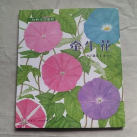 一粒种子的旅程：牵牛花