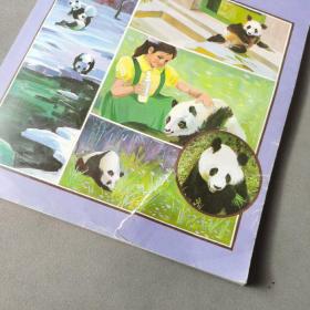 Rearing the Panda 大熊猫丛书5 饲养中的大熊猫（有磨损）
