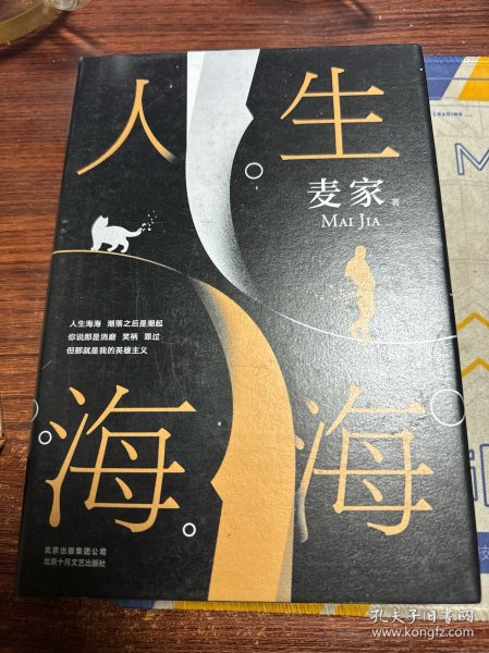 麦家：人生海海（茅盾文学奖得主麦家2019年强力之作）