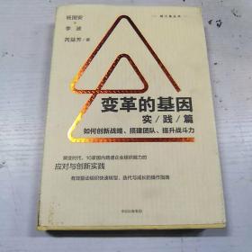 变革的基因：如何创新战略、搭建团队、提升战斗力（实践篇）