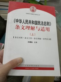 中华人民共和国民法总则 条文理解与适用（套装上下册）