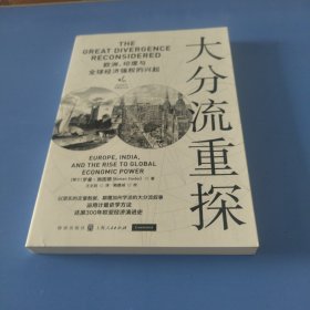 大分流重探：欧洲、印度与全球经济强权的兴起