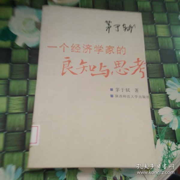 一个经济学家的良知与思考：当前社会问题随笔 馆藏正版无笔迹