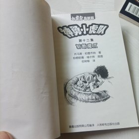 神勇小虎队:第十集足球案、第十二集斩断魔爪（无解码器）