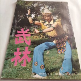 武林杂志，太极名家，中国道家养生，武艺，学拳，武术动作，内家拳法，峨嵋拳，技击，拳击，一代名师，流星锤，梅花鞭，阴把枪技法，功法，陈氏秘传太极拳，内功，丹田内转功法，太极拳，气功园地，中国功夫，高校武术活动，形意拳研究，三皇炮捶，鹰爪翻子拳，武术伤科，跌打损伤，习武，健康延寿，梁羽生，江湖三女侠，武术运动员林泉，