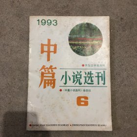 中篇小说选刊（1993）