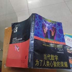 当代数学：为了人类心智的荣耀