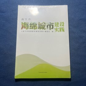 南宁市海绵城市建设实践