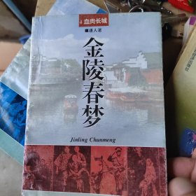 金陵春梦（4.5册2本合卖）
