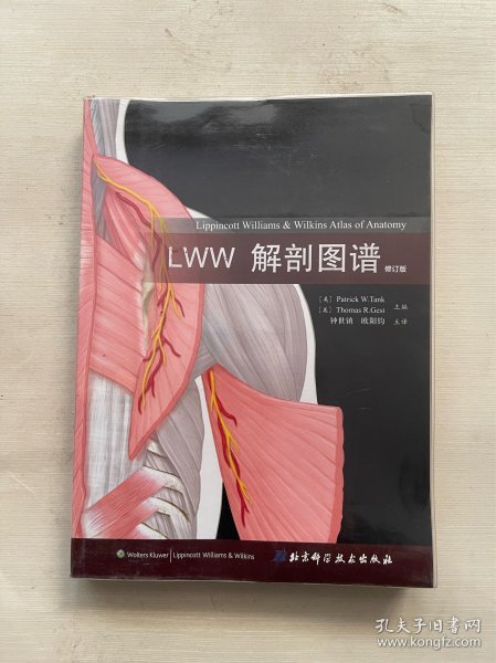LWW解剖图谱