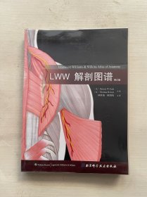 LWW解剖图谱