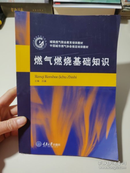 城镇燃气职业教育培训教材：燃气燃烧基础知识