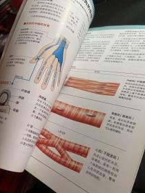 3D人体解剖图