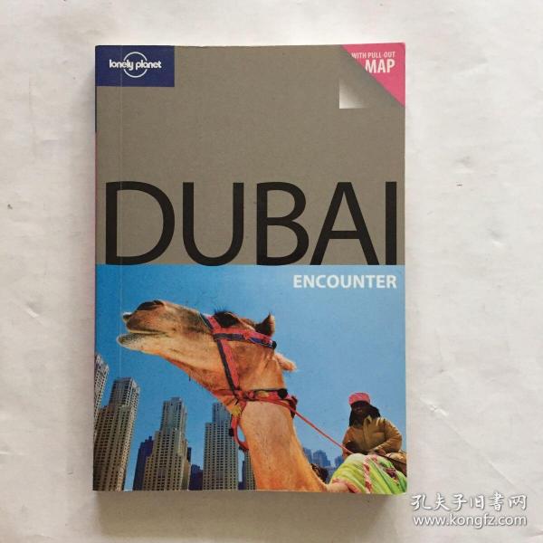 Lonely Planet: Dubai孤独星球旅行指南：迪拜