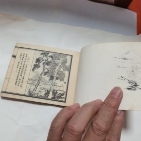 孔雀东南飞