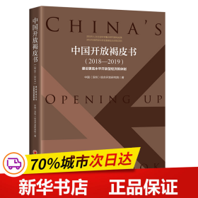 中国开放褐皮书（2018—2019）：建设更高水平开放型经济新体制