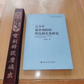 青少年犯罪预防的理论和实务研究