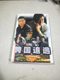 跨國(guó)追逃。
