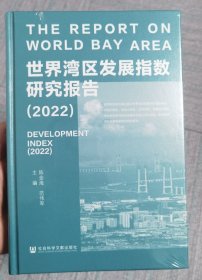 世界湾区发展指数研究报告（2022）