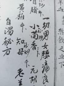 【复印件】清代宣统手抄治病秘方，内有少林寺和尚传授跌打扭伤方，夺命接骨神丹，紫金丹，金枪刀伤末药方，打拳洗手方，铁扇散，秘传七粒散，夺命接骨丹，还魂丹，龙虎丹，勞伤药酒方，张天师秘传神方等治病秘方。32张。