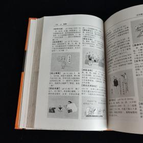 中华漫画成语词典