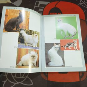 家庭养猫大全/宠物饲养大全丛书 如图书脊有破损