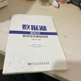 数据湖：新时代数字经济基础设施