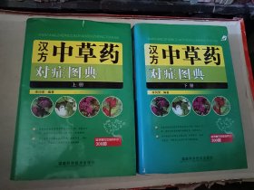 汉方中草药对症图典上下
