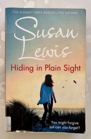 Hiding in Plain Sight - 隐藏在众目睽睽之下