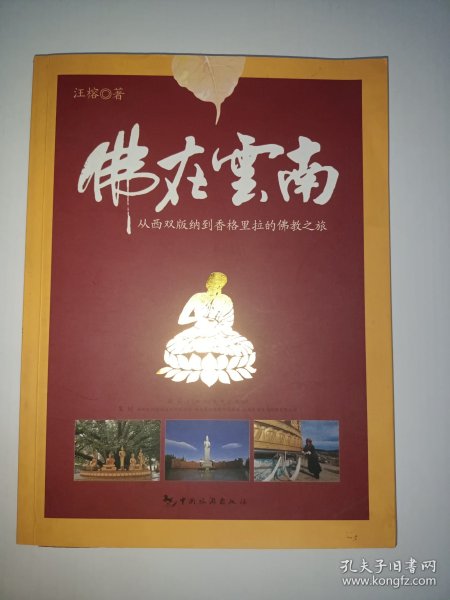 佛在云南：从西双版纳到香格里拉的佛教之旅【微污见图】