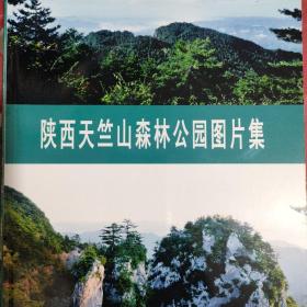 陕西天竺山森林公园图片集