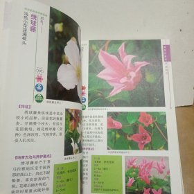 花卉圣经