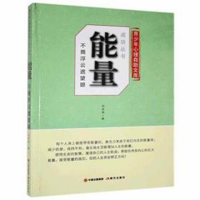 能量：不畏浮云遮望眼 成功学 仉志英