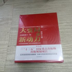 大变局与新动力：中国经济下一程