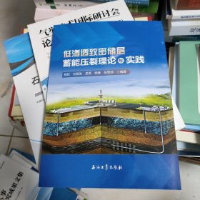 低渗透致密储层蓄能压裂理论与实践
