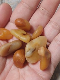 寿山溪蛋8个原石 能当田黄看 细腻 国石不是白给的 放了十年 没有火气了 能雕个把件 能切章 青田石/练习章料 印章石料篆刻印石摆件 鸡血 昌化巴林寿山70