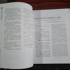 见证·武汉市第十三届人大常委会文稿选编