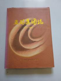 五环集团志 1987-2007。实物拍摄品佳见图