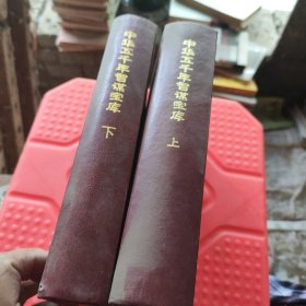 中华五千年智谋宝库（修订本）上下