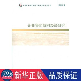 企业集团协同经济研究