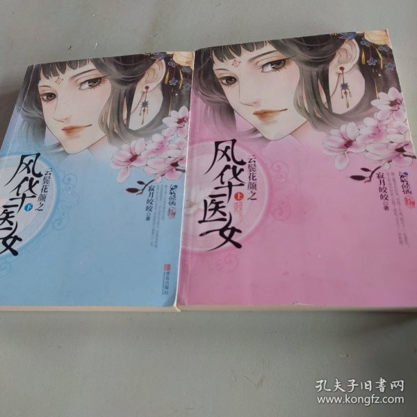 云鬓花颜之风华医女（上下）