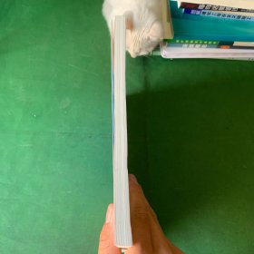 审计基础与实务【内页全新未阅读】【封底有褶皱】