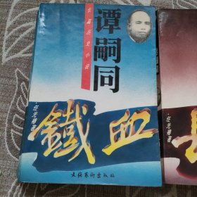 长篇历史小说 谭嗣同 上下