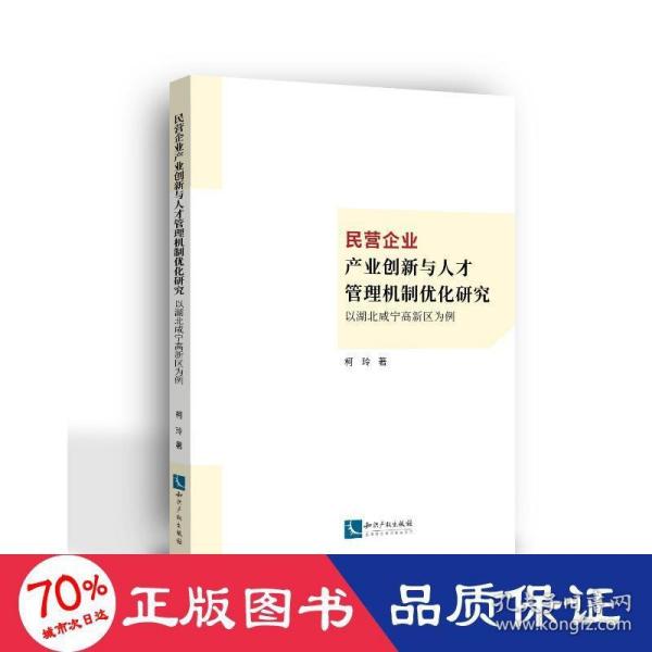 民营企业产业创新与人才管理机制优化研究：以湖北咸宁高新区为例